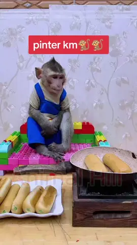 @sorotan tembus . pagie 