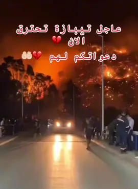 عاجل تيبازة تحترق الان 💔 دعواتكم لهم 🤲🏻💔 #تيبازة #تحترق #ياربي 💔🤲🏻#استرهم 