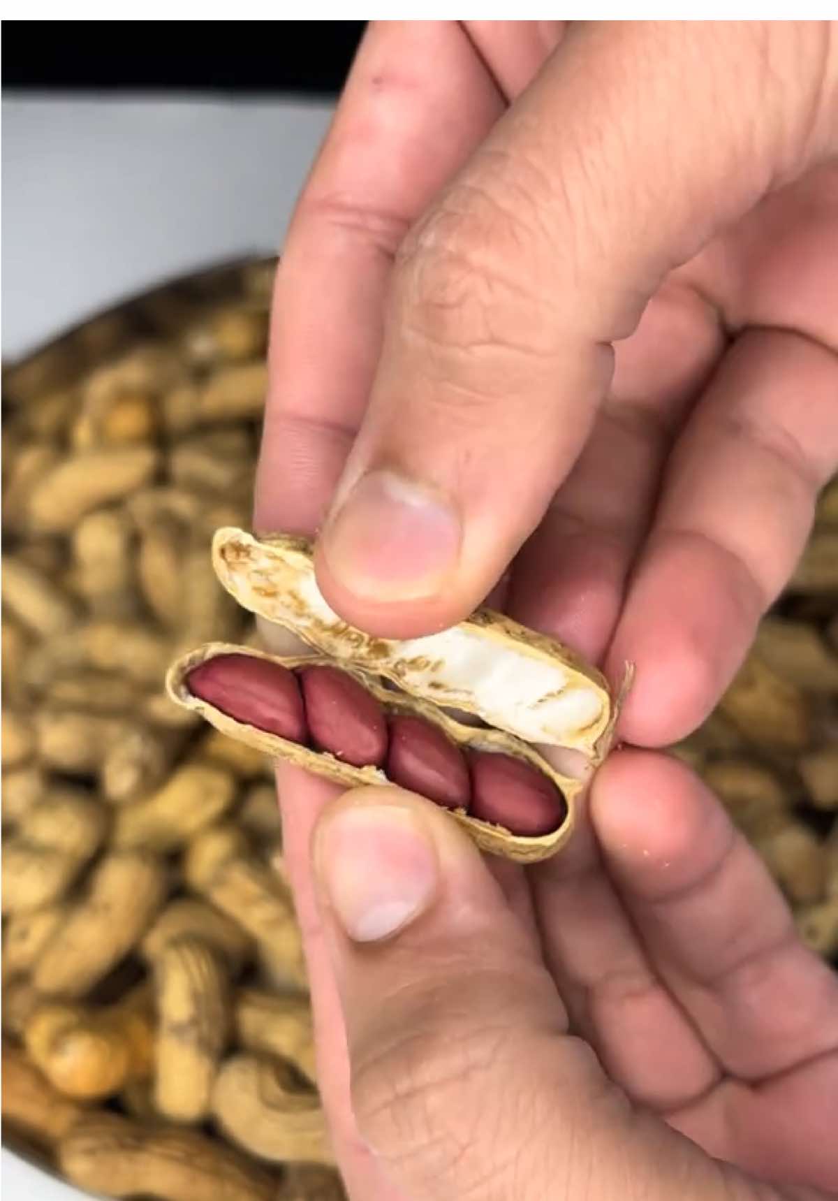 Peanuts Dalgona Chikki / مونگ پھلی چکی #winterspecial #asmr #tiktokfood #squidgame #tiktokusa 