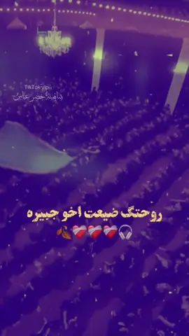 روحتك ضيعت اخو جبيرة حيرة❤️‍🩹🎧.                   #خضر_عباس #رادودي 