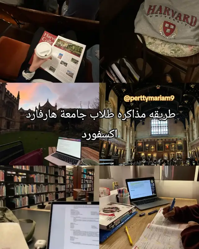 #harvarduniversity #oxforduniversity #explor #student #amistad 