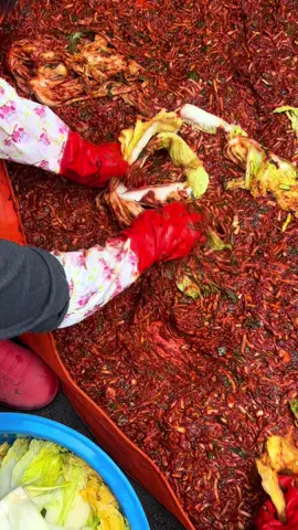 #김장 #김치 #kimchi 