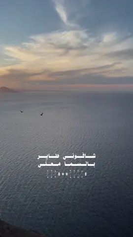 شافوني طاير بالسما #CapCut #سبشنل_دشنل @sbshlen 