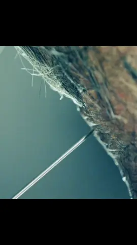 Zombies can actually use smartphones.#movie #video #shorts #film #tvshow #tiktokgemscontest 