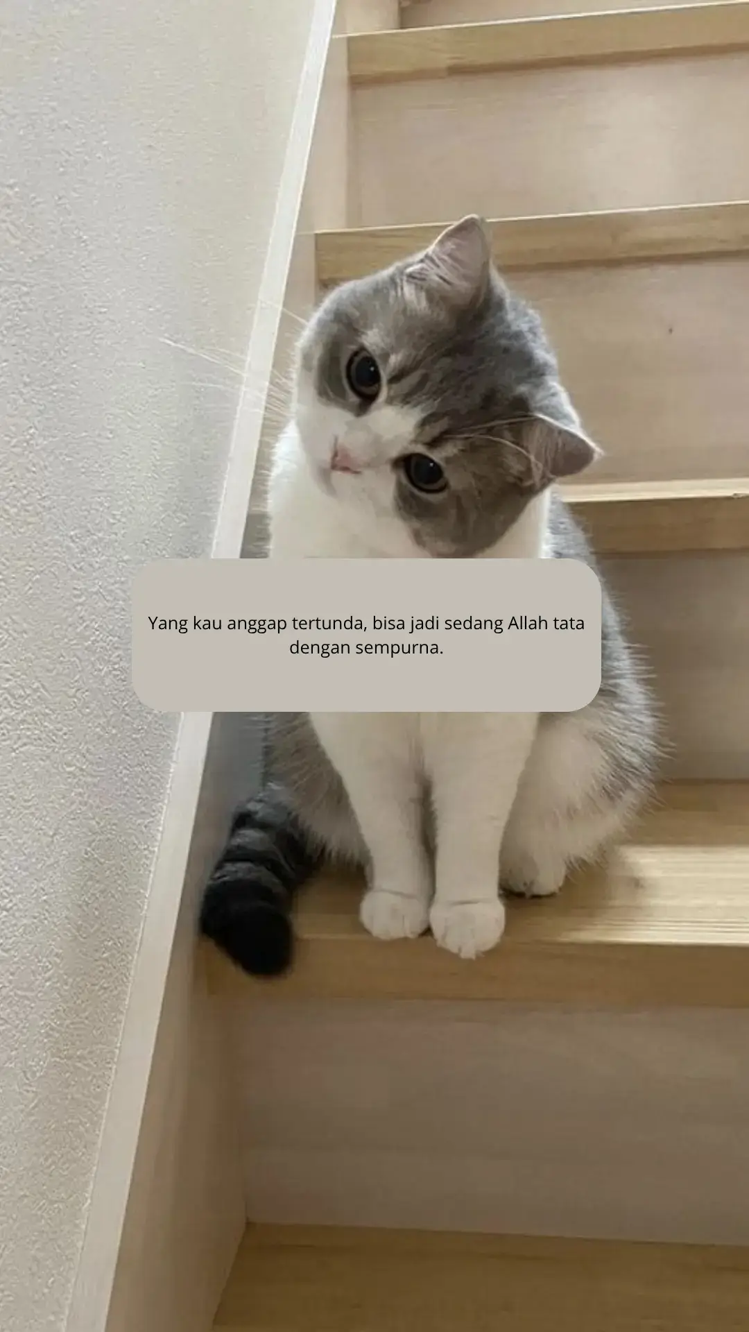 #quotes #fyp #islamic_video #reminder #hijrah 