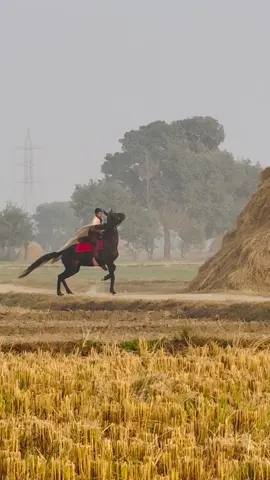 Awa moj jawani wali#mashallah #💯💯💯💯 #1millionaudition #1millionaudition 