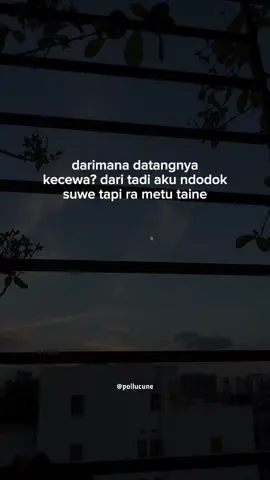 #jowostory #pollucune #fypシ゚ #storywa 