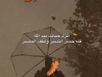 #اكسبلور_محضوره_من_مشاهدات #متابعه_ولايك_واكسبلور_احبكم #لايك_متابعه_اكسبلور_كومنت_فولو #لايك_متابعه_اكسبلور_كومنت_فولو #لايكاتكم_مع_اكسبلووور 