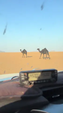 المريبخ ✨#مجاهيم_الدواسر #وادي_الدواسر #المجاهيم_ندر_البل #اكسبلور 