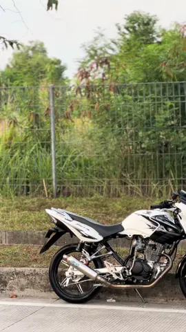 🤍🖤 #tigermodifikasi 