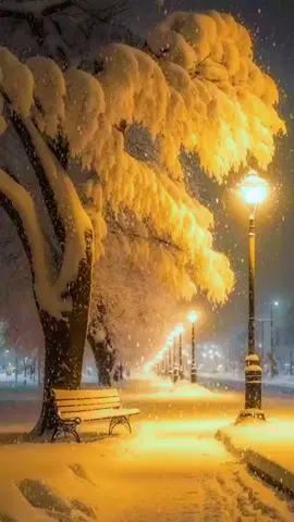 #природа #зима #вожиданиичуда #хорошаямузыка 