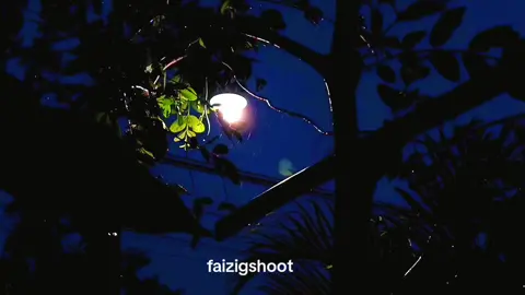 test camera redmi note 14 5g bagus gk yah?  #masukberandafyp #fyppppppppppppppppppppppp #testcamera #malamvibes