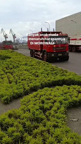 #morowali_sulteng_bahodopi  #anakdekker  #jemmir_palopo 