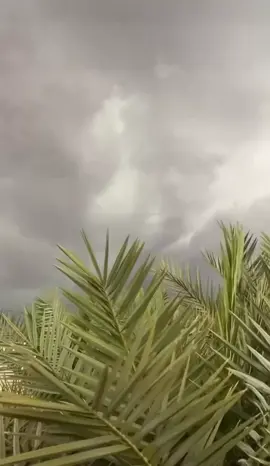 #اكسبلور#متابعة #امطار #غيوم #الجمعة 