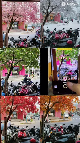 Tính năng chân dung AI bốn mùa độc quyền của nhà vivo ạ  #ilovev60lite #vivoweWOW #ilovev60liteVN #V60Litevlogvn2