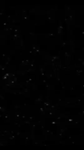 (меня заставили)