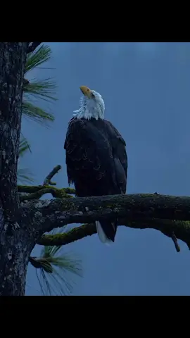 ជីវិត😌#fyp #vairal #vairalvideo #cambodia #2025tiktok 