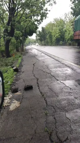 Baluran Race🏁🤙#cctvhutanbaluran #truklintasjatim #baluransitubondo #cctv_truck_indonesia #sodrekers_jepara_timur 