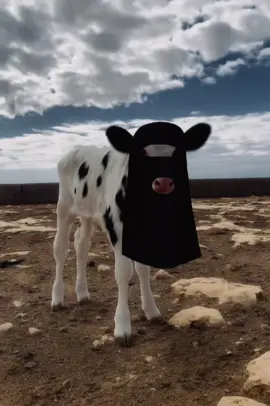 عطيني عنوان دار 😔💔. #هيثم_العجيلي📌✨ #تصاميم_فيديوهات🎵🎤🎬 #جامعه_سلوق_كلية_ادب❤_بنغازي_ليبيا🔥🇱🇾 #البيضاء_الجبل_الاخضر❤🔥 #درنه_طبرق_مصر_ليبيا_بنغازي_طرابلس_جزائر 