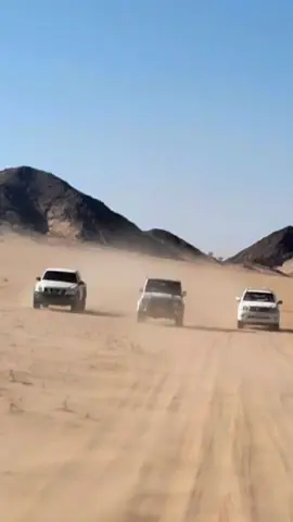 #. ومن قومه معه في الخير والشر  #. رقى في دنيته بـ أعلى مكانه.. #شبوه#وادي همام📍