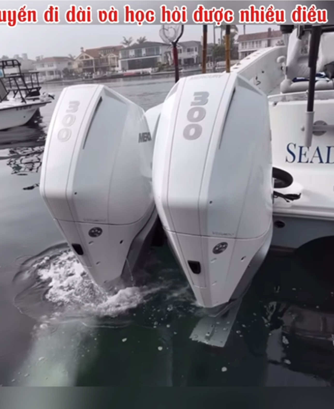 Một chuyến đi dài và học hỏi nhiều điều. #nguoimientayotexas #nguoimientayomy #cuocsongomy #nguoivietomy #xuhuong 