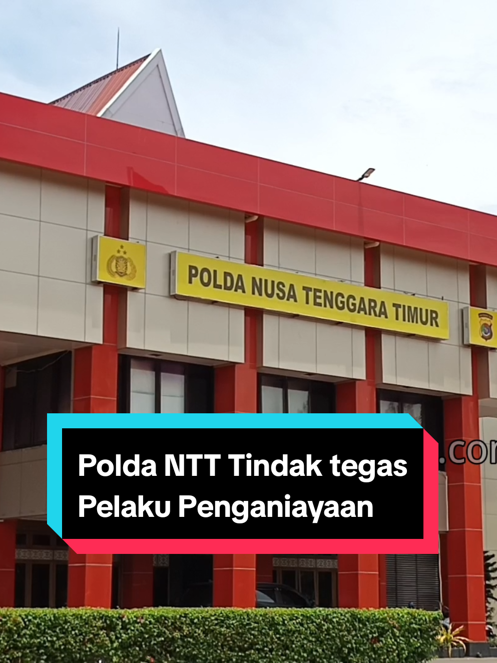 https://nttzoom.com/news_read/dua-siswa-spn-polda-ntt-dianiaya-senior-pelaku-ditempatkan-di-tempat-khusus-2427