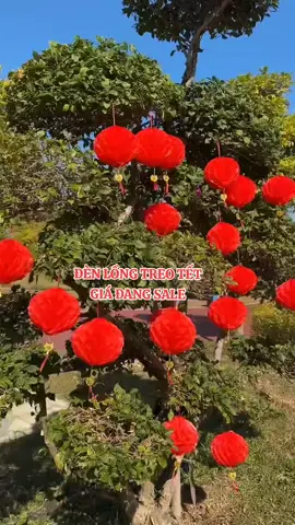 happy 2026 #tet #denlongtet #trangtritet #decortet #tet2026 #denlong #hottrend 