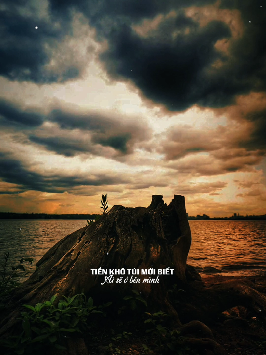 Đồng Tiền Nhân Thế 2: #capcut #capcutpioneer #pioneertemplate #trend #tramblues 