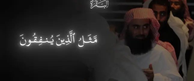 ﴿مَثَلُ الَّذينَ يُنفِقونَ أَموالَهُم في سَبيلِ اللَّهِ ﴾ [البقرة: ٢٦١] #محمد_اللحيدان #قران_كريم #تلاوة_خاشعة #quran #luhaidan 