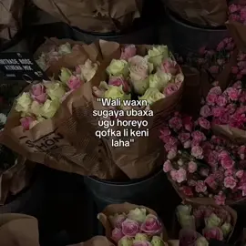 #🌷...#fypシ #Hayatt #viraltiktok 