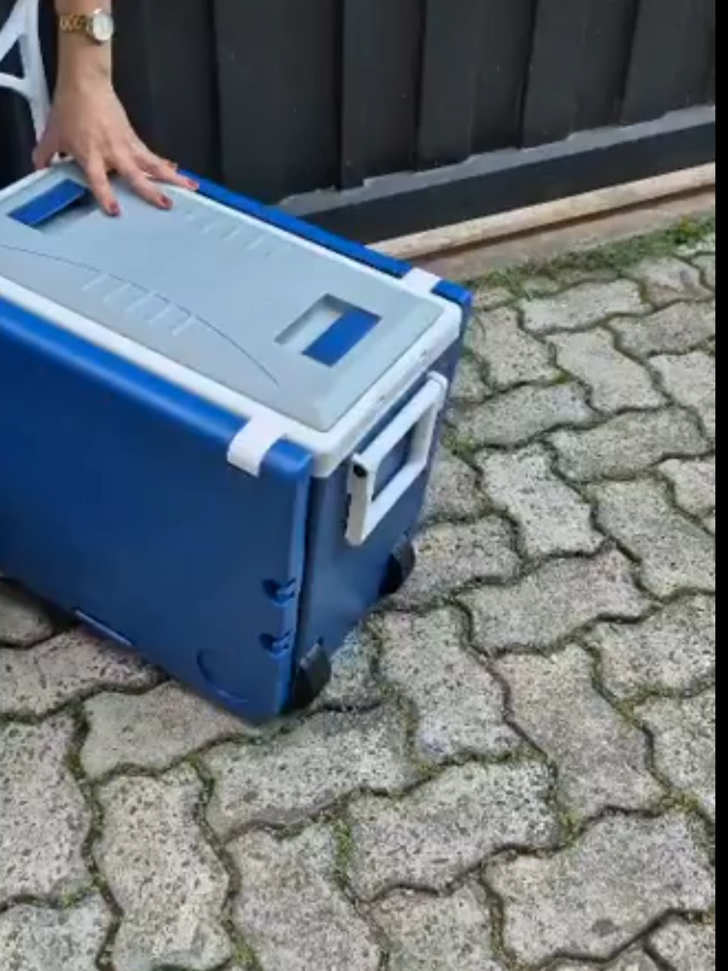 🚨 PROMOÇÃO RELÂMPAGO HOJE 14/11 ÀS 15H — NA SHOPEE! 📦 COOLER 3 EM 1 — 32L + 2 MESAS INTEGRADAS 🧊 SUPER ISOLAMENTO TÉRMICO (sim, sua cerveja vai ficar gelada até você terminar de montar as mesas 😎) 👉 Abre → vira mesa → leva pra praia, piquenique, churrasco ou até pro quintal da casa 💰 Preço?  👇 LINK NA BIO — ou DM “COOLER” que mando direto 🚀 #finddoverão #coolerquesalva #promoçãorelâmpago #shopeebrasil #vidaprática  #larglam #viraltiktok #tiktokmademebuyit #fyp #comprinhas #foryou #shopee #achadinhos #achadinhosshopee #promoçãoespecial