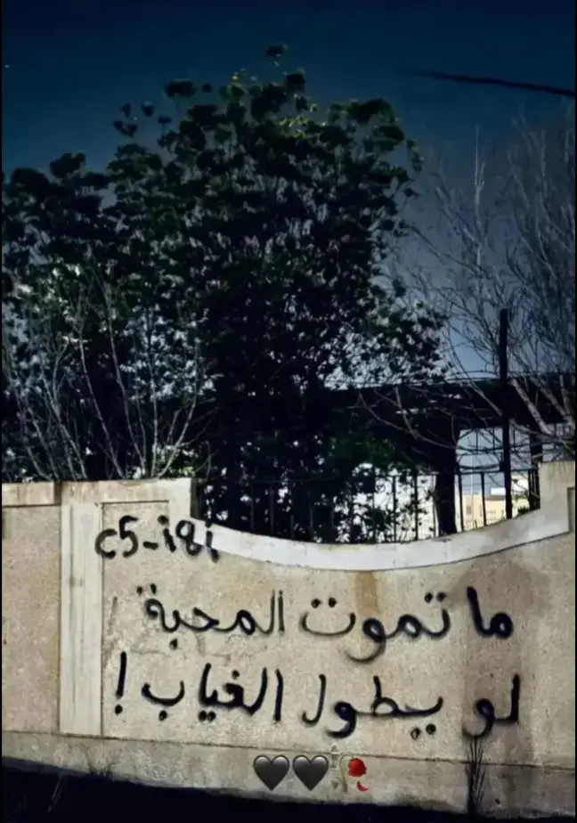 #ماتموت_المحبه_لويطول_الغياب #foryoupage #لحن♡ #explore #الشعب_الصيني_ماله_حل😂😂 