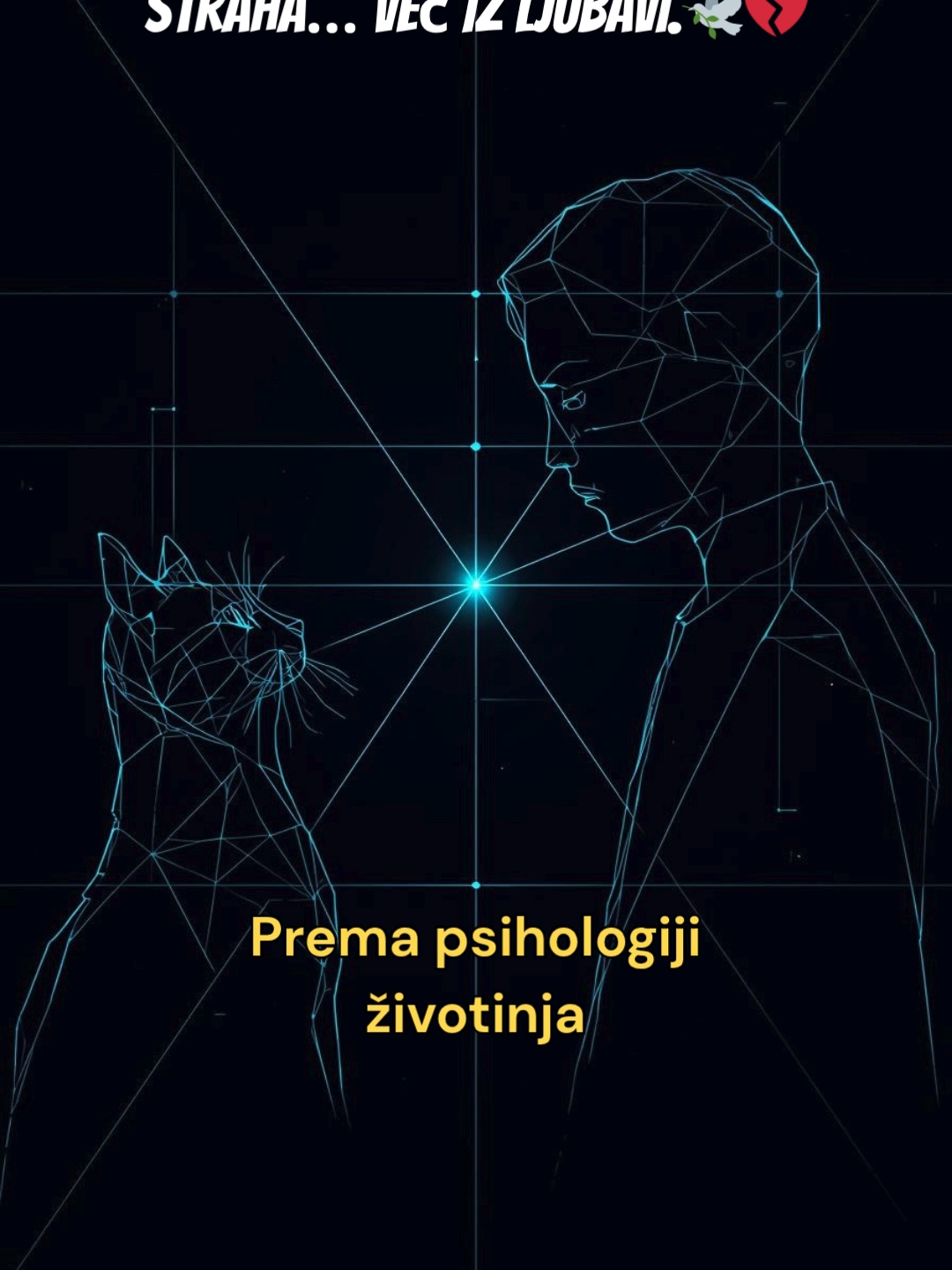 Istina iza poslednjeg pogleda tvoje mačke 😢🐾  Napomena: Tekst u videu temelji se na iskustvima mnogih vlasnika, veterinarskim zapažanjima i onome što danas znamo iz psihologije životinja. Ne radi se o strogo naučnim tvrdnjama, već o najčešće opisanim ponašanjima mačaka u emotivnim i osetljivim trenucima. O emocijama mačaka postoji manje istraživanja nego o psima, pa se neke informacije oslanjaju na iskustva vlasnika i veterinara.