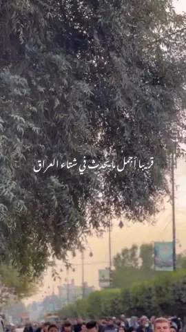 منين رح طلعون مشايه هاي السنه ان شاء الله #موسى_الكاظم_اسد_بغداد #باسم_الكربلائي #إكسبلورر #فولو #ترند #قصائد #بغداد #عزائنا_دائم_حتی_ظهور_القائم 