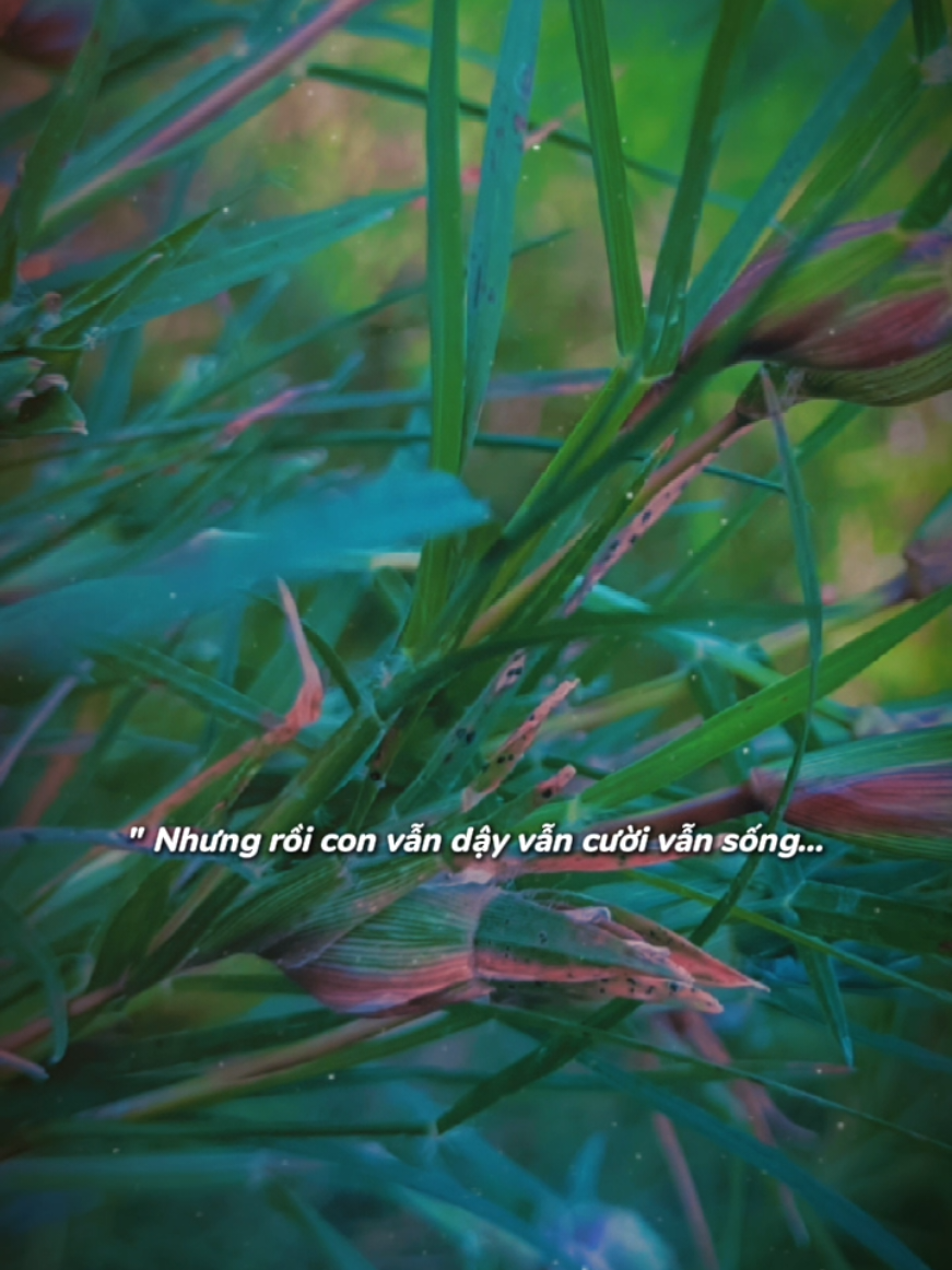 Xin ông trời đừng thử thách con nữa... #capcut_edit #tâmtrạng #nhactamtrang #buon #traitimtonthuong💔 