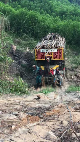 leo núi thôi ae ơi 🤣🤣