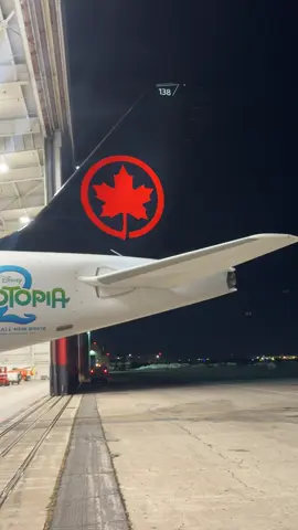 Air Canada Airbus 220-300 with the magnificent Zootopia livery 🤩🤩😮‍💨😮‍💨#fyp #aviation #edit #airbus #viral 