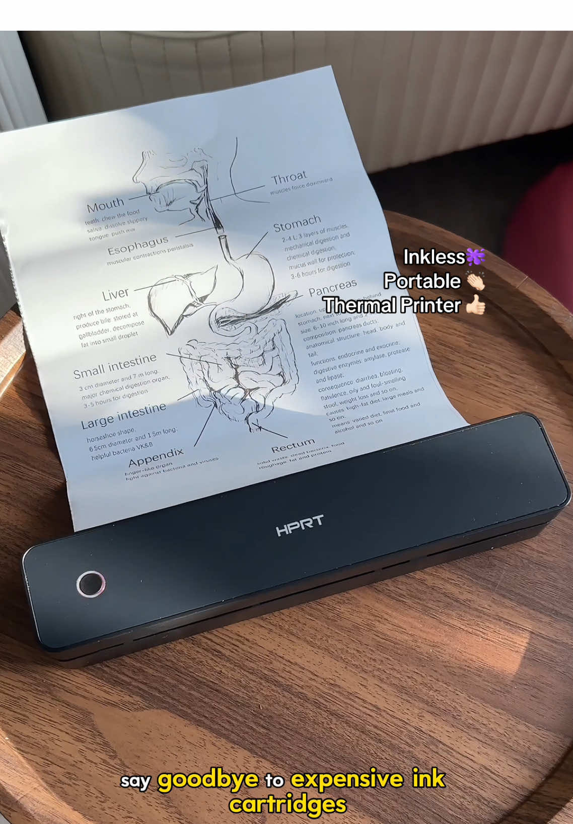 NO INK!!! No more spending a fortune to print at local shop🤩🤩🤩 #inklessprinter #portableprinter #thermalprinter #printerthermal #blackfriday