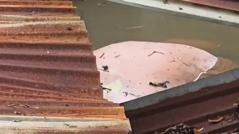 #ฟีดดดシ #สิงห์บุรี #น้ำท่วมอินทร์บุรี68_รับแจ้งชาย95ปีอยู่คนเดียวสูญหายจากบ้านพัก_ชุดปฎิบัติการทำการค้นหาโดยรอบบ้านที่ถูกน้ำท่วมใต้ถุน_พบร่างคุณตาจมน้ำเสียชีวิตบริเวณใต้ถุนครัว #มูลนิธิร่วมกตัญญูขอแสดงความเสียใจ ต่อครอบครัวคุณตา🖤                    