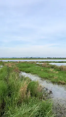 Xa qua anh em oi#xuhuongtiktok #caliathiadong #TikTokAwardsVN 