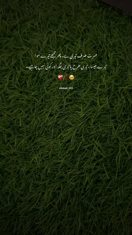 حسرت صرف تیری ہے، پھر مجھے تیرے سوا❤️‍🩹#videos #foryоu #status #esthetics 
