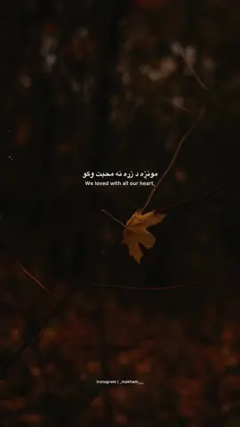 🥀🖤 #pashtoshayari #pashtopoetry #pashtoliterature #afghanistan🇦🇫 #kpk 