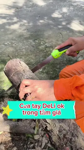 Cưa DeLi dụng cụ cắt cành tuyệt vời 🥰#xuhuongtiktok #cuacamtaydanang #nongdan #dungculamvuon #thodienmayman 