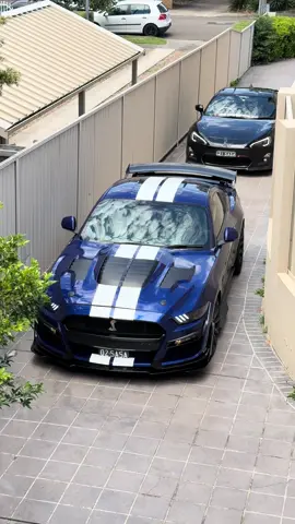 Awkward Beasts #srilankan_tik_tok🇱🇰 #tributekitshelby #shelbygt500 #trd #gt86turbo 