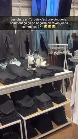 #turquie #pourtoi #humour #videodrole #bestfriend 