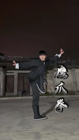 梦想不会发光,发光的是追梦的你 #duguqiubai #独孤求败 #中国功夫 #中华武术 #功夫 