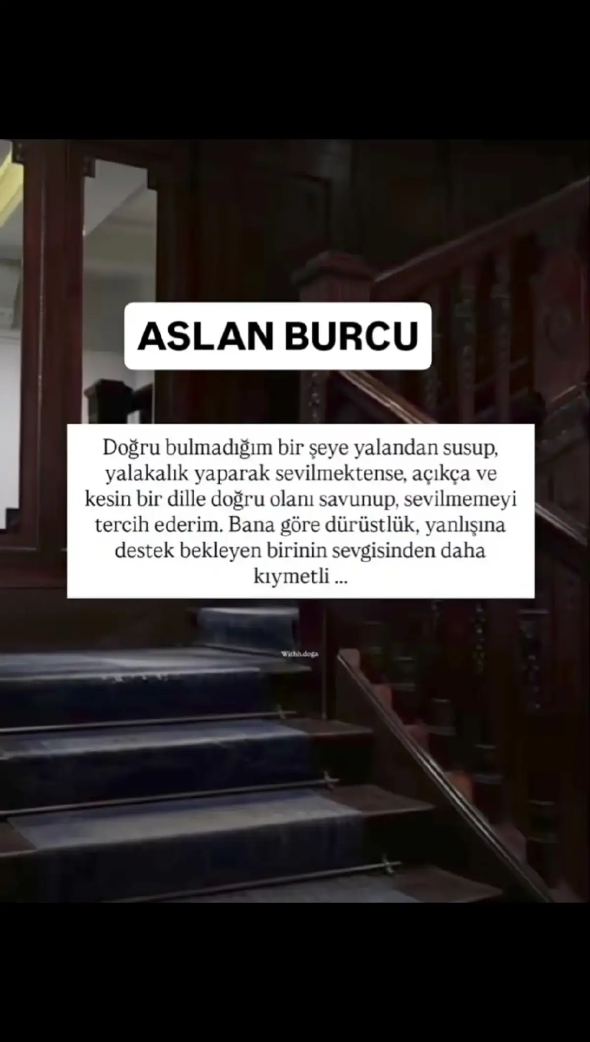 #aslanburcu #leo #şirbürcü 