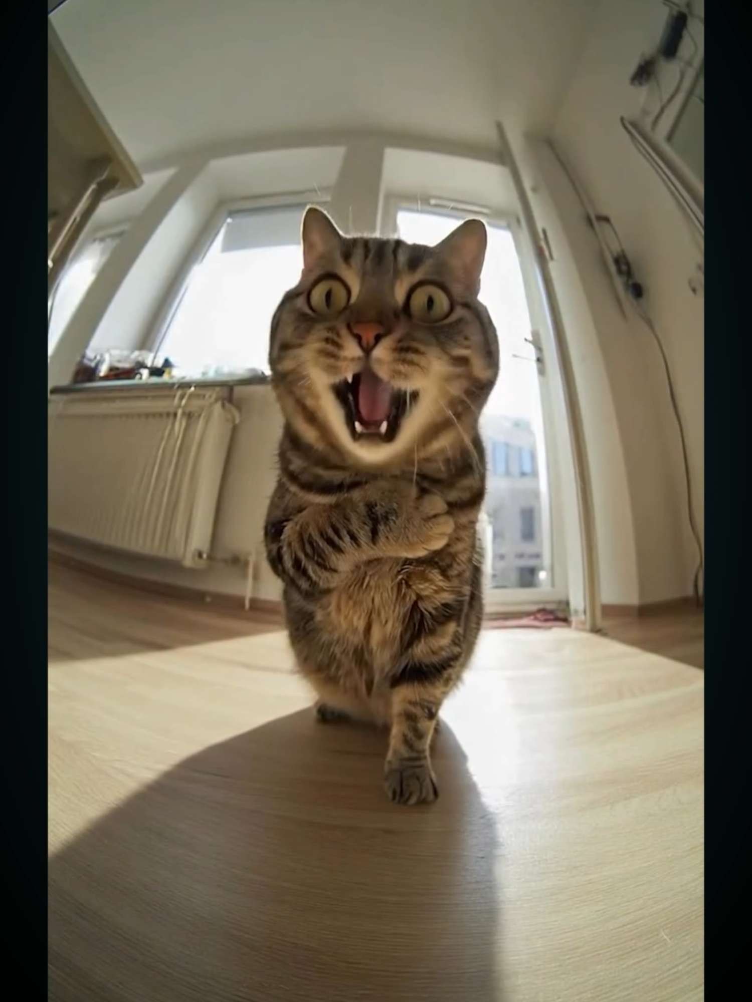 Ini Dia Cara Membuat Video AI CCTV Viral - Ide Konten Viral Pakai AI  Prompt : Buatlah prompt text to video bahasa inggris, durasi singkat sekitar 8-15 detik (tanpa menyebut durasi), untuk membuat video doorbell fish eye lens, menampilkan adegan seperti di atas. Semua hanya satu angle, tanpa perpindahan angle. #aitools #aivideo #videoai