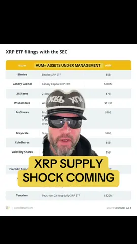 Xrp supply shock incoming if these xrp ETFs are successful!!! #xrp #etf #etfs #xrpnews #xrpprice 
