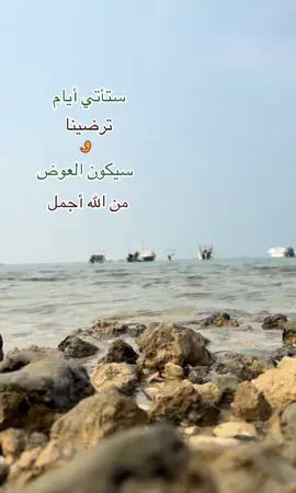 #يابحر_من_الألم_موجاته_آه #السلام_عليك_يااباعبد_الله_الحسين #السلام_عليك_يا_ابا_الفضل_العباس_ع #السلام_عليك_ياصاحب #كربلاء_مدينة_العشق_والعاشقين 